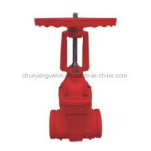 Rising Stem Clamp Fire Protetion Gate Valve